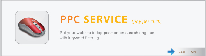 PPC Services (Pay Per Click)